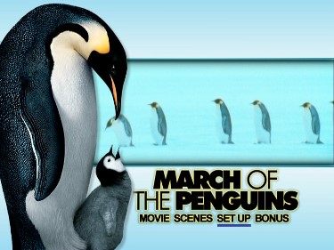 Luc Jacquet's - March of the Penguins - DVD Review Marche de l'empereur